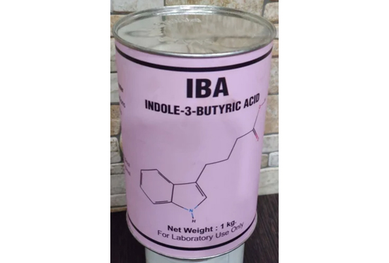 Indole 3 Butyric Acid Iba